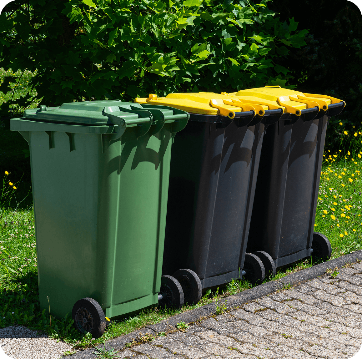Outdoor waste containers in sunlight